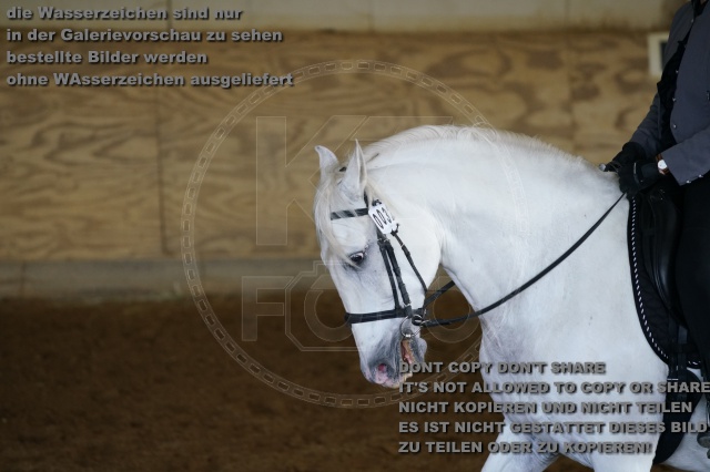 s_K3F03435.JPG